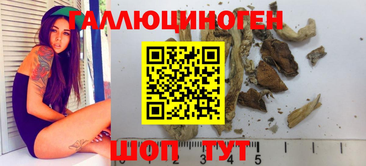 Псилоцибиновые грибы ЛСД Будённовск